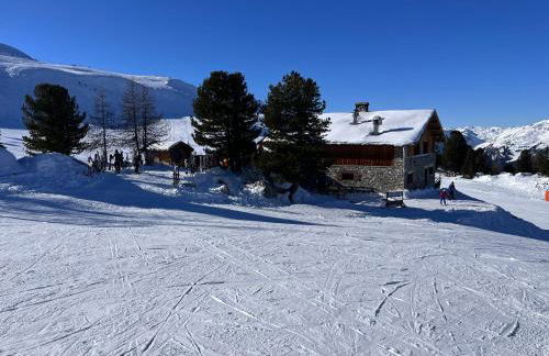 La Plagne Appartement au pied des pistes avec vue Mont Blanc - Foto 45