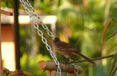 Linda casa em condomínio - Foto 50