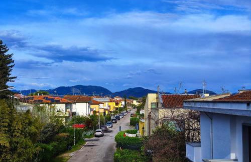 I Levrieri Venezia - Foto 17