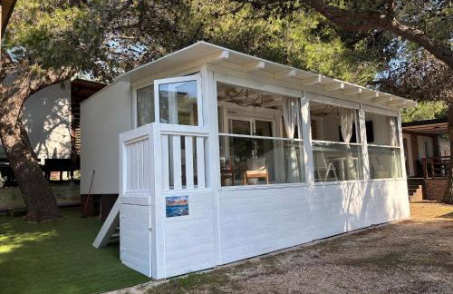 Dream Escape Mobile Home - Photo 8