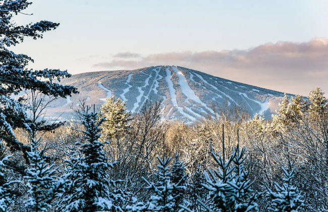 Long Trail House at Stratton Mountain Resort - Photo 35