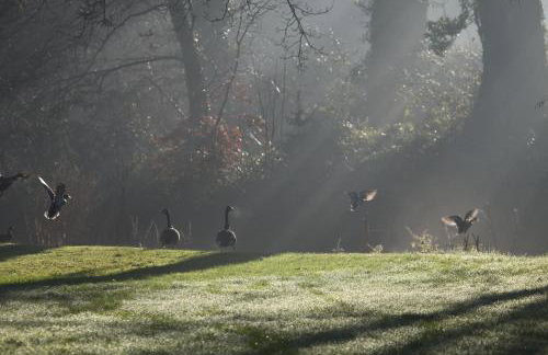 Medieval Cottage in rural Monmouthshire. - Foto 14