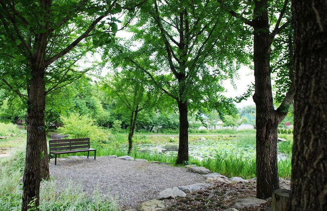 Haeyeorim Village - Foto 44