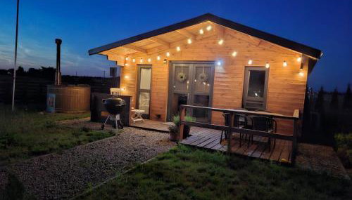 domek klimatyzowany w pobliżu jeziora Chłop - Foto 5