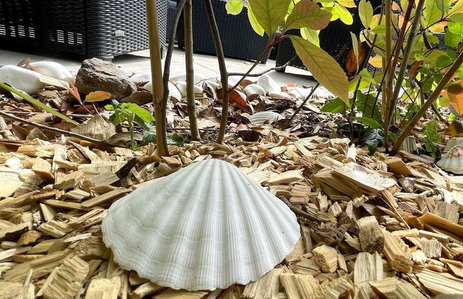 Croyde Wonky Cottage 1 Bedroom - Foto 23