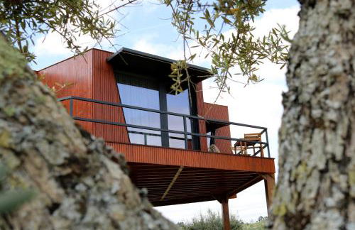 CÔA HONEYCOMB - Foto 26