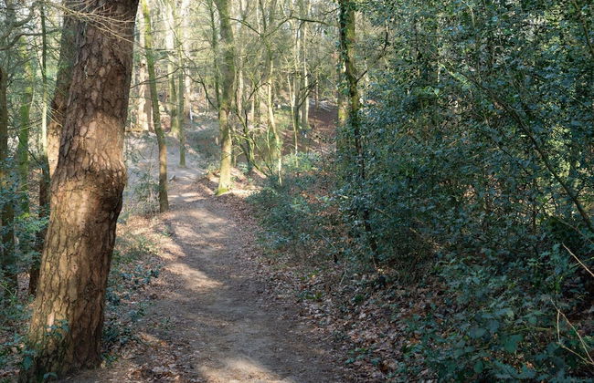 Cosy Holiday Home in Appelscha With a Great View - Foto 25