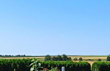 Alb-Biosphäre-Ferienwohnung - Foto 37