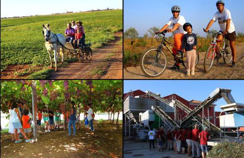 Retrato da Memória-Casa de Campo - Foto 48