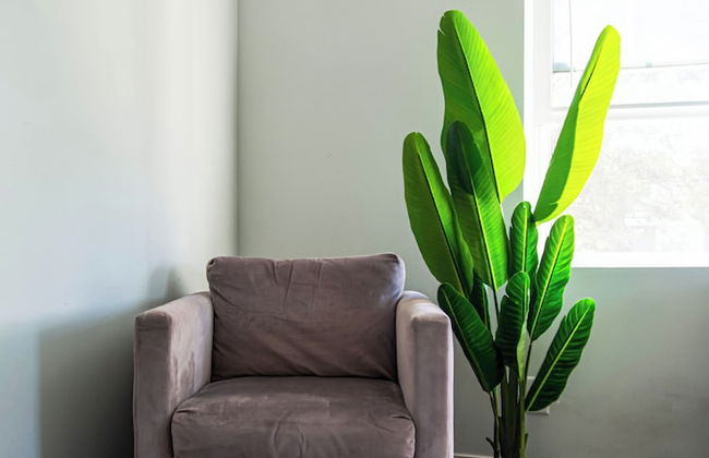 We Connect Co-Living - Foto 8