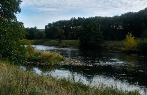 Bungalow Thiele - Foto 12