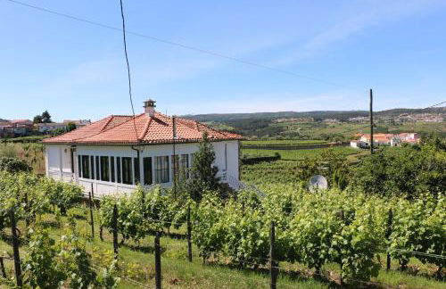 Solar dos Avós - Foto 59