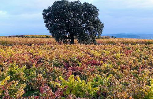 La Casa de Alberto - Foto 12