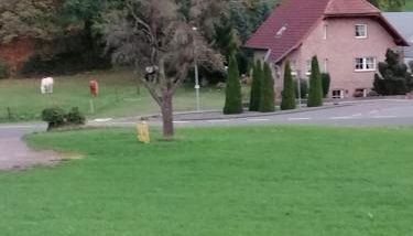 Ferienwohnung Eva - Foto 5