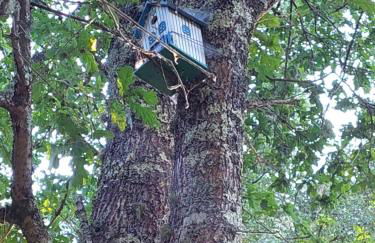 Moinho do Formigal - Foto 36