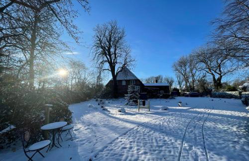 Ferienwohnung "Altes Pastorat" - Foto 6