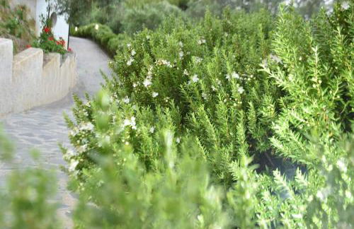 Agriturismo Vulcano - Foto 67