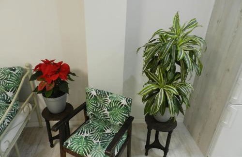 El Jardín de Paula - Foto 9