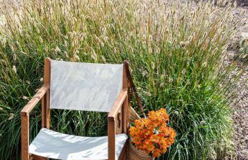 Villa Elena by Mauter Villas - Foto 12