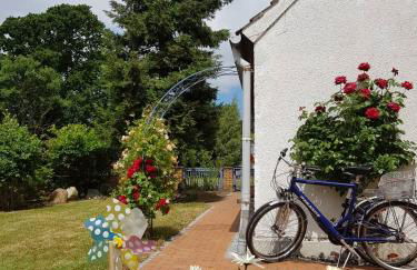 Hering FeWo I Apartment Terrace - Foto 6