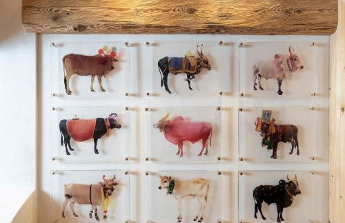 Cà Bianca delle Dolomiti - Foto 8