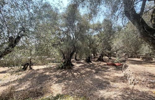 Holiday Home Casa Simona - DOL134 by Interhome - Foto 41