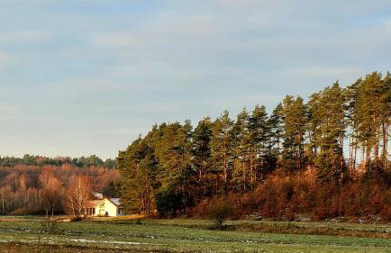 Siedlisko Przy Lesie Alpaka 3 - Foto 28
