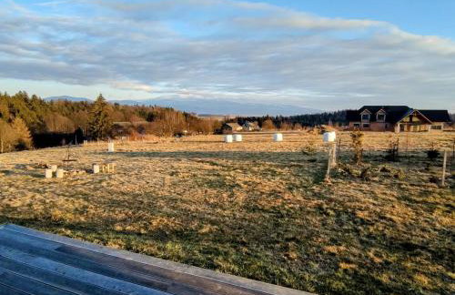 Przewietrzona Głowa - Foto 14