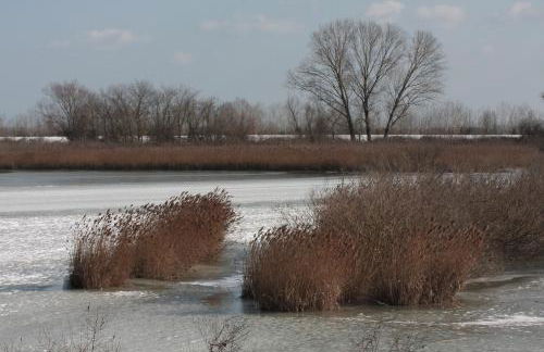 Agriturismo Ca' Bonelli 1924 - Foto 32