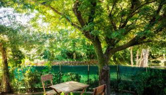 Moinho de Estoraos - Foto 2, Garden