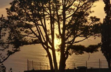 Casa El Nisperero - Foto 36