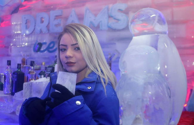 Oferta: Dreams Park Show al completo - Foto 3