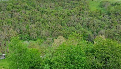 Agréable T2 Classé 3 étoiles, refait à neuf, dans quartier calme - Photo 5