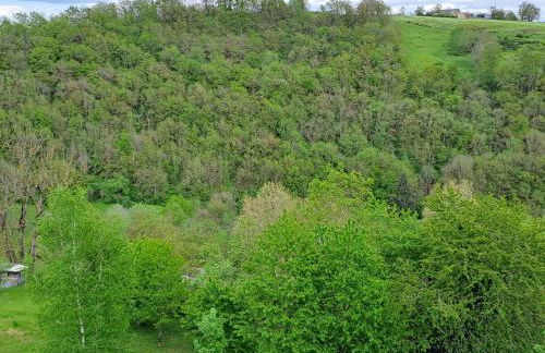 Agréable T2 Classé 3 étoiles, refait à neuf, dans quartier calme - Photo 5