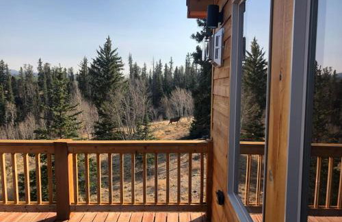 Secluded Modern Cabin On 10 Acres Tarryall Creek - Foto 21