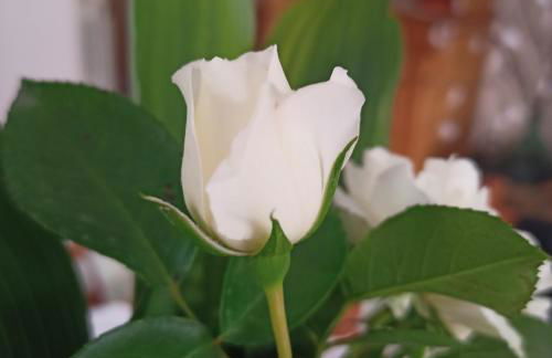 La Casetta - Foto 10