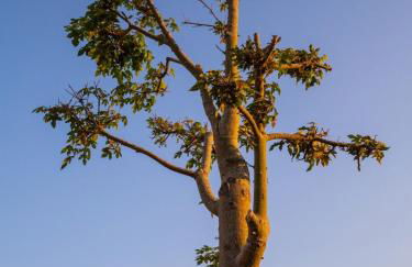 Le Casette di Sangennaro - Foto 8