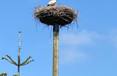 Ferienhaus Xantenamera in Xanten-Wardt am See - Foto 32