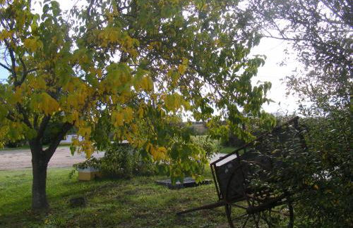 Quinta dos Trevos - Artes e Ofícios - Foto 30