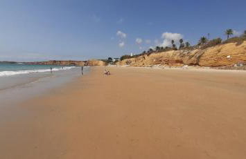 Casa Palmera - Foto 16