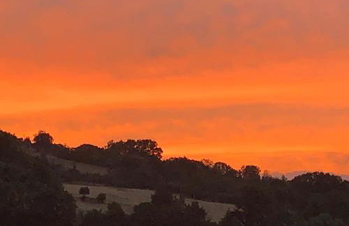 Bed en bubbels bennie en liisa - Foto 16