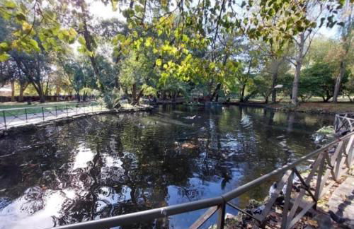 Apartamento Palacio Valdés, centro Avilés, con parking - Foto 20