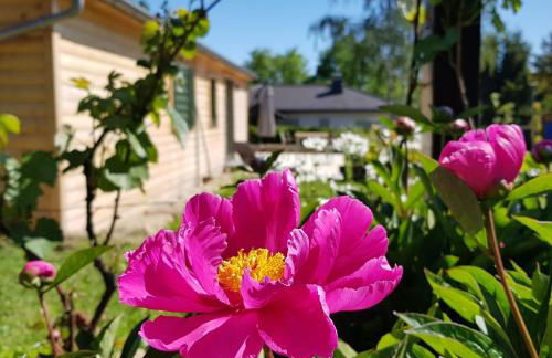 Chalet "Waldhauszeit" am See - Photo 17