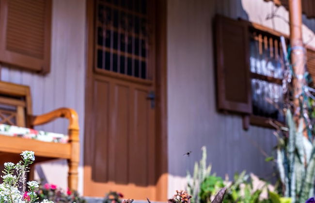 Locar-in Gramado Chalé Recanto - Photo 17