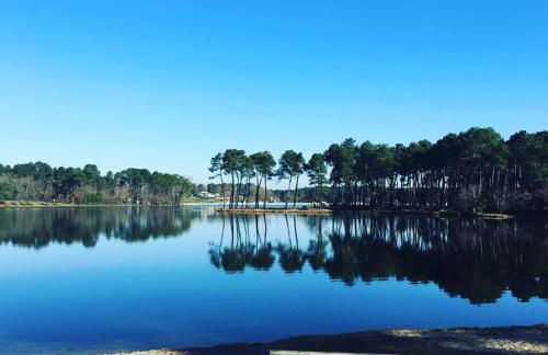 Gite climatisé L'Orée des Landes Proche Center Parcs - Foto 35