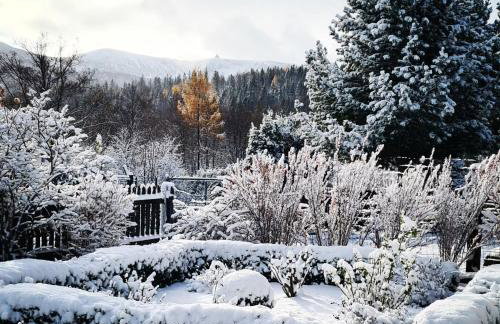 Heart of Polen appartements z widokiem na Śnieżne Kotły - Foto 59