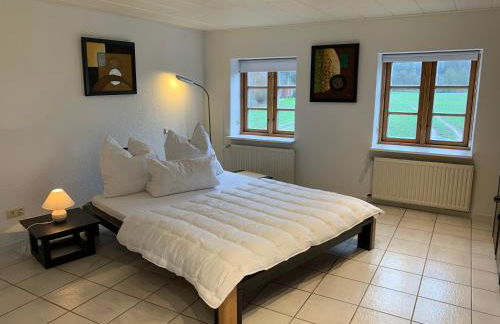 Ferienhaus Alte Mühle - Foto 17