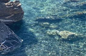 La Bruna sul mare - Foto 28