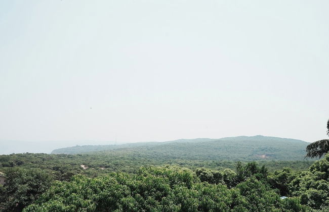 Springfield Family Apartment - Foto 48