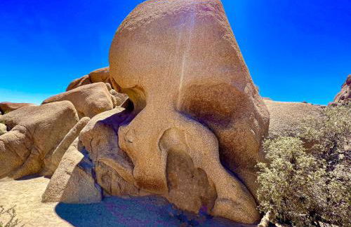 Casa Luisa Joshua Tree - Foto 40